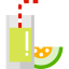 Fruit and Vegetable juice collection icon 64x64